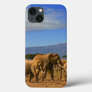 iPhone 13 Coque Kilimanjaro et éléphants