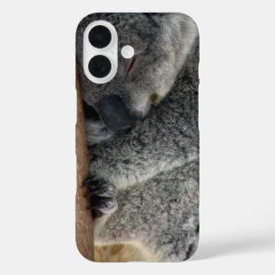 Coque Pour iPhone 16 koala