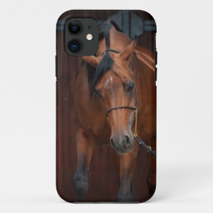 Case-Mate iPhone Case la beauté des chevaux arabes. baie