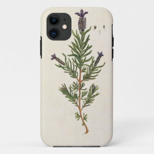 Coque Case-Mate Pour iPhone La lavande française, plaquent 241 'd'un Herbal