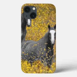 Etui iPhone Case-Mate La moutarde et les chevaux