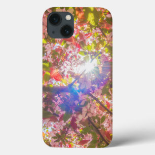 Case-Mate iPhone Case La nature fleurit fleurs lumière fleur soleil