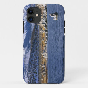 COQUE iPhone 11  LA RÉSERVE NATURELLE DE MONO LAKE TUFA,