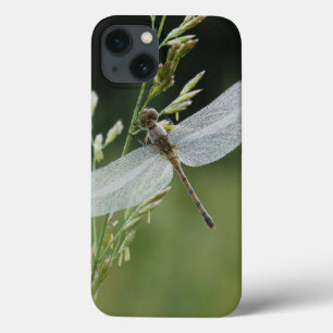 Case-Mate iPhone Case La rosée a couvert la libellule de Darner