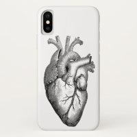 La Science d'anatomie de coeur