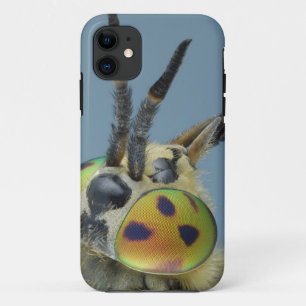 Case-Mate iPhone Case La tête des cerfs communs volent