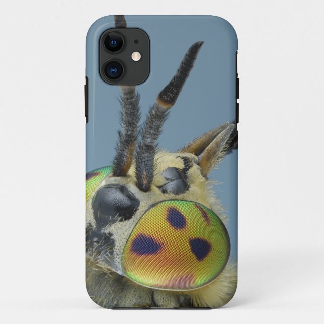 Coques Case-Mate iPhone La tête des cerfs communs volent (Dos)