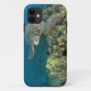 Coques Pour iPhone La tortue verte, (Chelonia mydas), est le