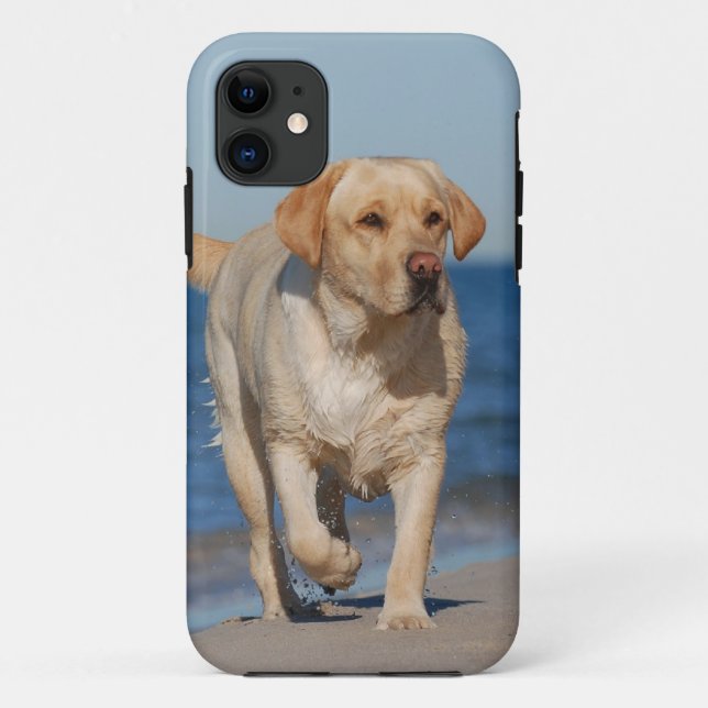 Coques Case-Mate iPhone Laboratoire d'été (Dos)