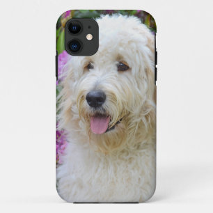 Etui iPhone Case-Mate Labradoodle