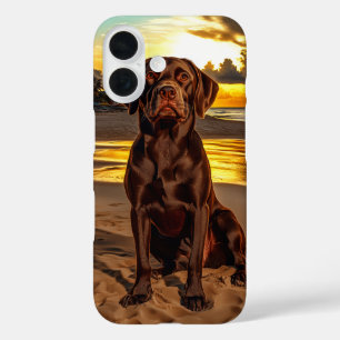 Coque Pour iPhone 16 Labrador au chocolat au coucher du soleil