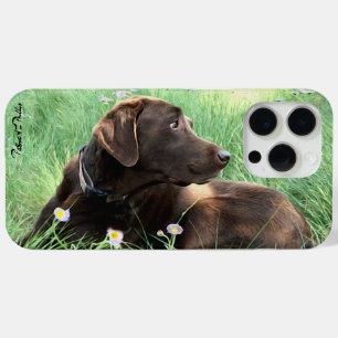 Coque iPhone 15 Pro Max Labrador Retriever Et Fleurs Violettes