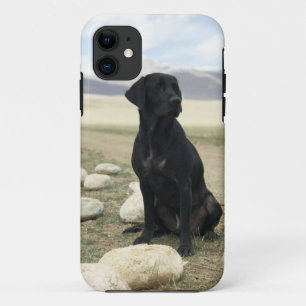 Coque Case-Mate Pour iPhone Labrador retriever noir personnalisable