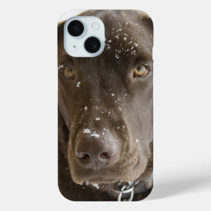 Coque Pour iPhone 15 Lac de neige couvert Chocolat Lab Photo Gros plan