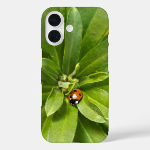 Coque Pour iPhone 16 Ladybug