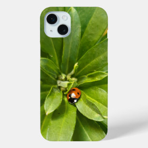 Coque iPhone 15 Mini Ladybug
