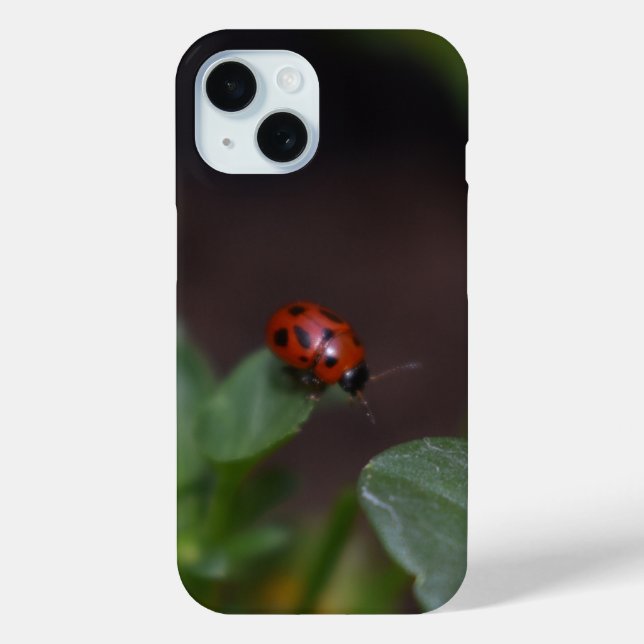 Coques Case-Mate iPhone Ladybug (Verso)