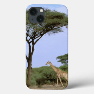 iPhone 13 Coque L'Afrique, Botswana, delta d'Okavango. Du sud