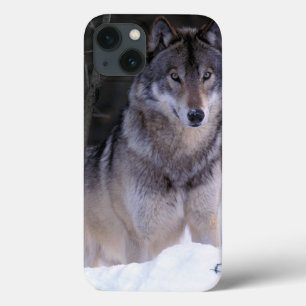 Coques Pour iPhone L'Amérique du Nord, Canada, Canada oriental, loup
