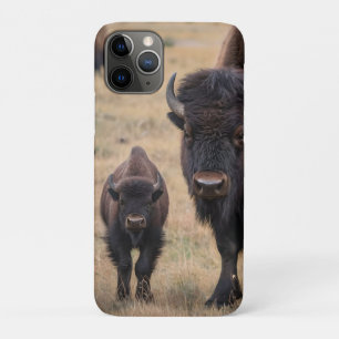 Case-Mate iPhone Case "L'amour sauvage : le bison et son veau"