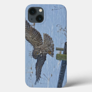 iPhone 13 Coque Landing Great Grey Owl and Fence Wildlife Photo