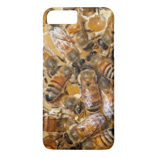 Coques Case-Mate iPhone L'apiculture à Arlo's Honey Farm (Dos)