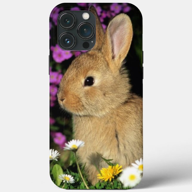 Coques Case-Mate iPhone Lapin (Verso)