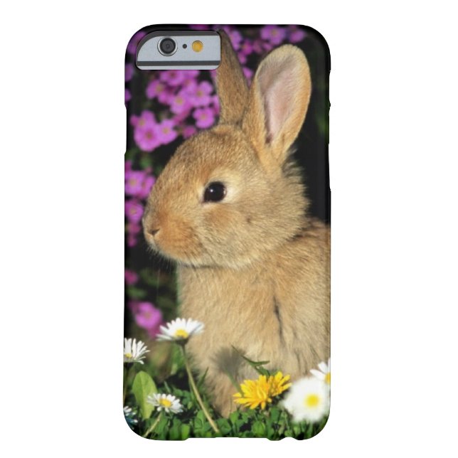 Coques Case-Mate iPhone Lapin de Pâques (Dos)