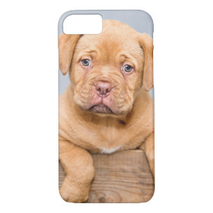 Case-Mate iPhone Case Le Chien-Chien-Chien-Chiffre De Bordeaux