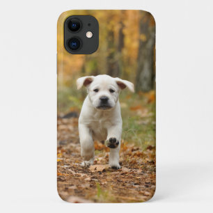 Case-Mate iPhone Case Le chiot du Labrador dans le paysage d'automne