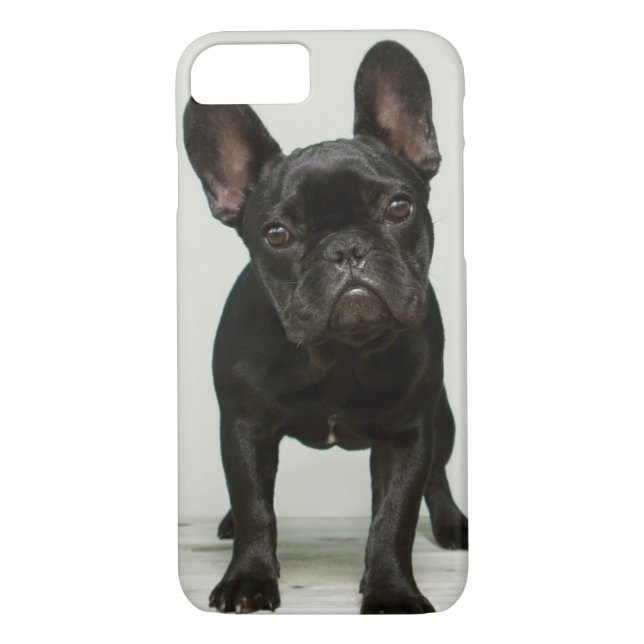 Coques Case-Mate iPhone Le chiot le plus mignon de bouledogue français (Dos)