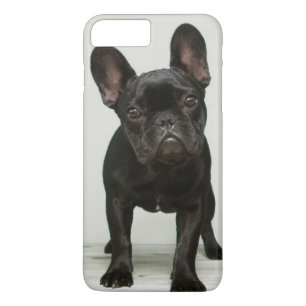 Coque iPhone 8 Plus/7 Plus Le chiot le plus mignon de bouledogue français
