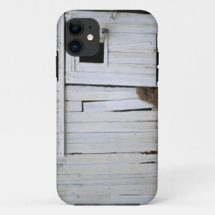 Coque iPhone 11 Le collage de cheval dirigent la fenêtre de grange