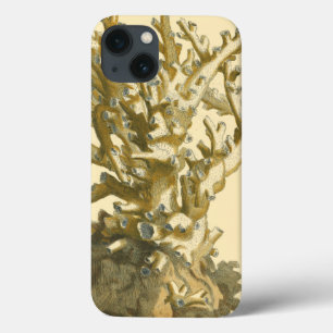Etui iPhone 13 Le corail de la mer