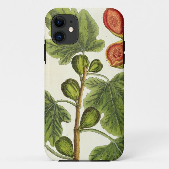 Coques Case-Mate iPhone Le figuier, plaquent 125 "d'un de fines herbes (Dos)