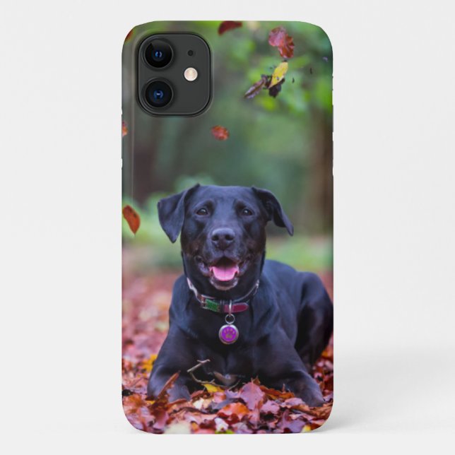 Coques Case-Mate iPhone Le Labrador Noir Dans Les Feuilles D'Automne (Dos)