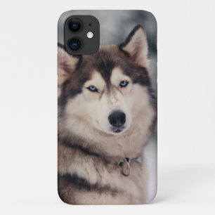Case-Mate iPhone Case Le magnifique Husky en plein air