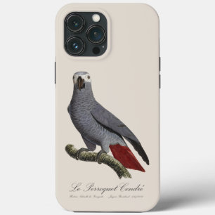 Case-Mate iPhone Case Le Perroquet Cendre - Illustration du XIXe siècle