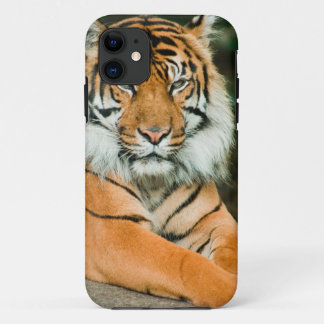 Case-Mate iPhone Case Le téléphone portable du football de tigre de