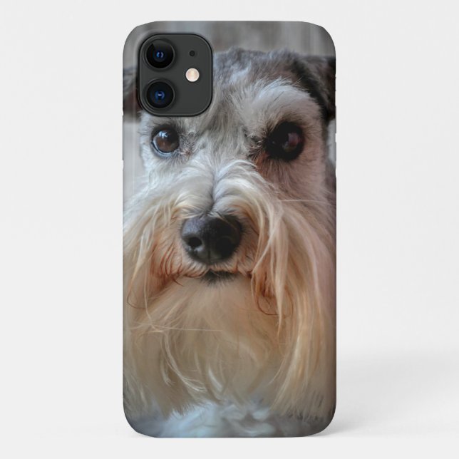 Coques Case-Mate iPhone Le visage de Schnauzer Dog (Dos)