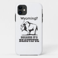 Le Wyoming ? Parce que c'est beau