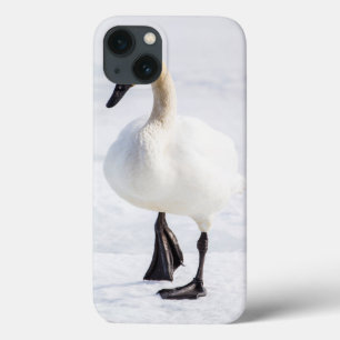 Coques Pour iPhone Le Wyoming, refuge national d'élans, cygne de