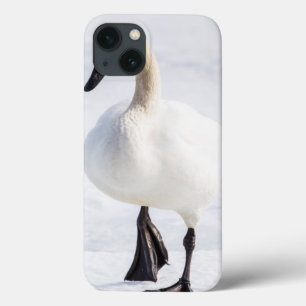 Etui iPhone 13 Le Wyoming, refuge national d'élans, cygne de