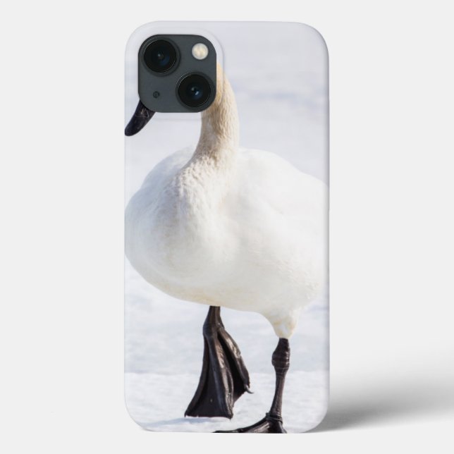 Coques Case-Mate iPhone Le Wyoming, refuge national d'élans, cygne de (Verso)