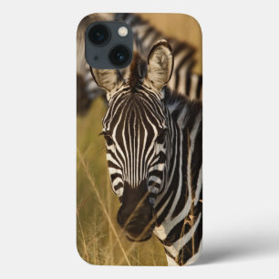 Coques Pour iPhone Le zèbre de Burchell dans l'herbe grande d'été,