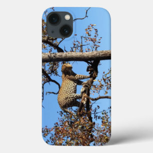 Case-Mate iPhone Case Leopard dans un arbre en Afrique
