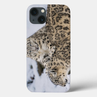 Etui iPhone Case-Mate Léopards des neiges :