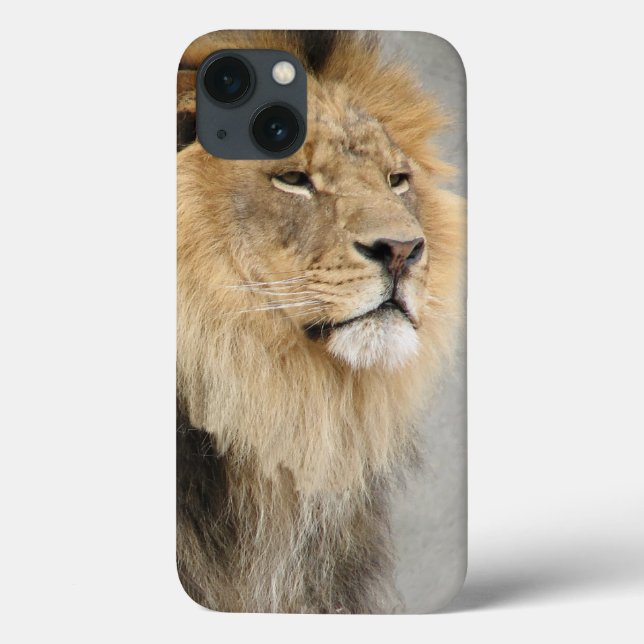Coques Case-Mate iPhone Les amoureux du lion Roi de la Jungle (Verso)