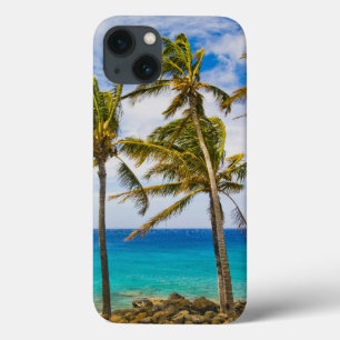 Etui iPhone 13 Les cocotiers (Cocos nucifera) se balancent dans