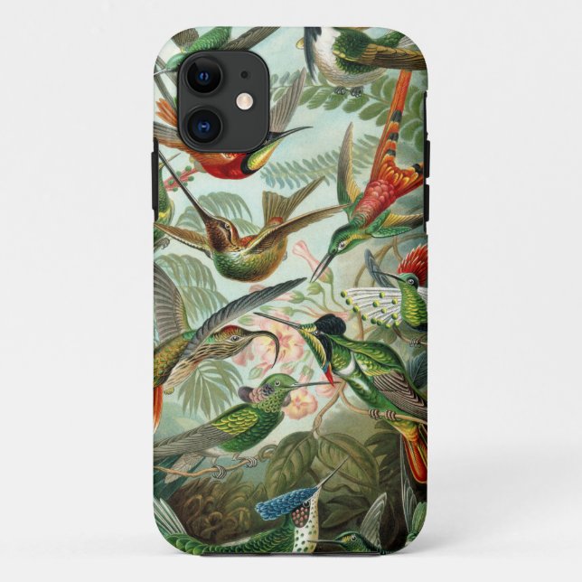 Coques Case-Mate iPhone Les colibris Extraordinaires Image par Ernst Haeck (Dos)